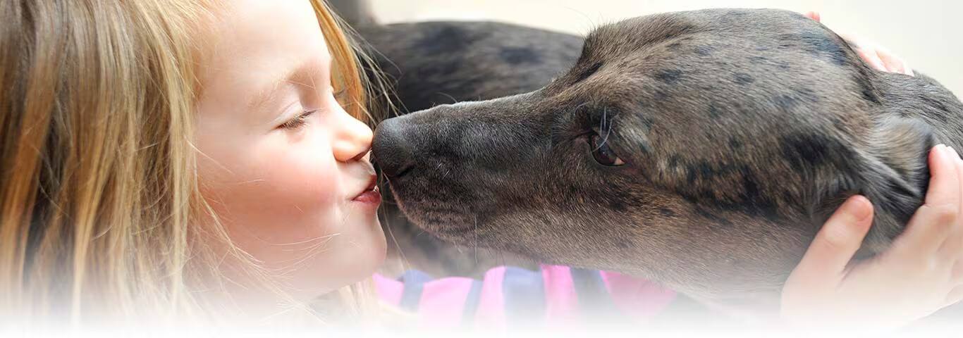 Foto de un perro Xoloitzcuintli