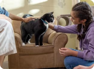 Gato con niña