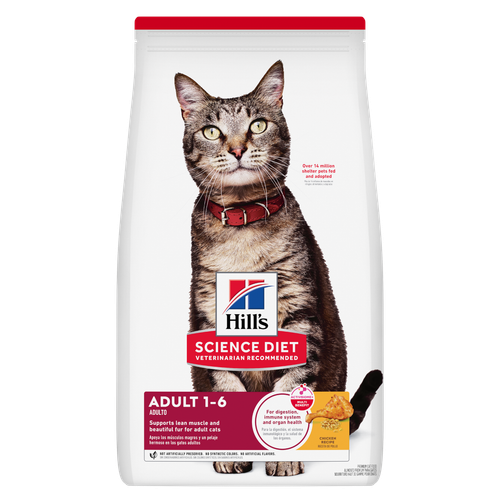 concentrado para gato Packshot