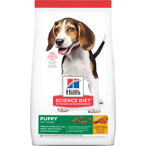 Cachorro Receta de harina de pollo y cebada Packshot